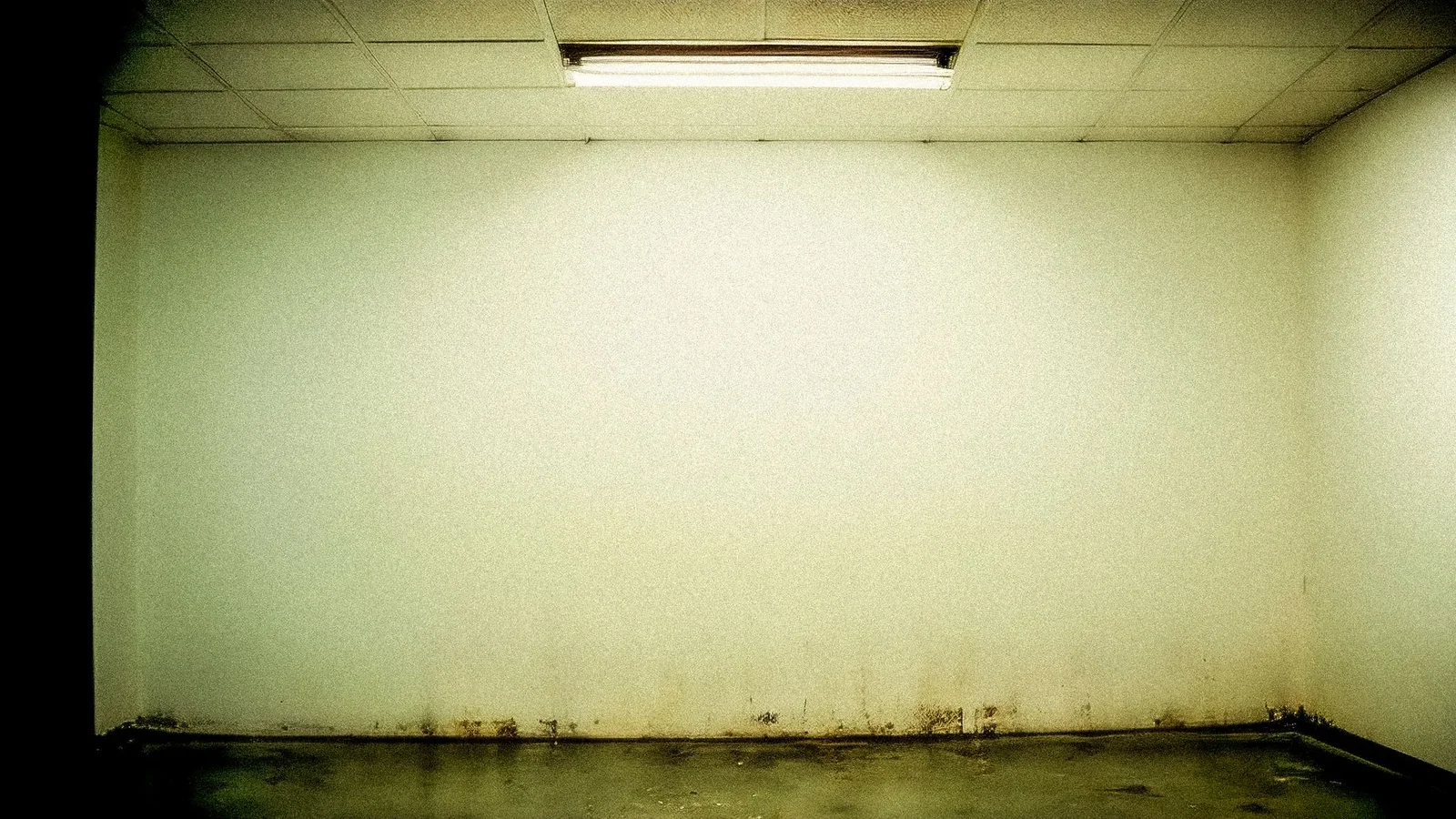 Painting Over Water Stains on Rental Walls