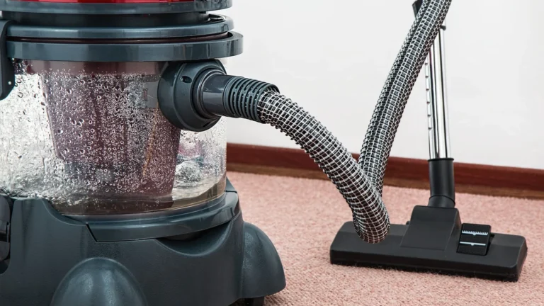 The Best Enzyme Cleaners for Carpet Stains Renters Need to Know