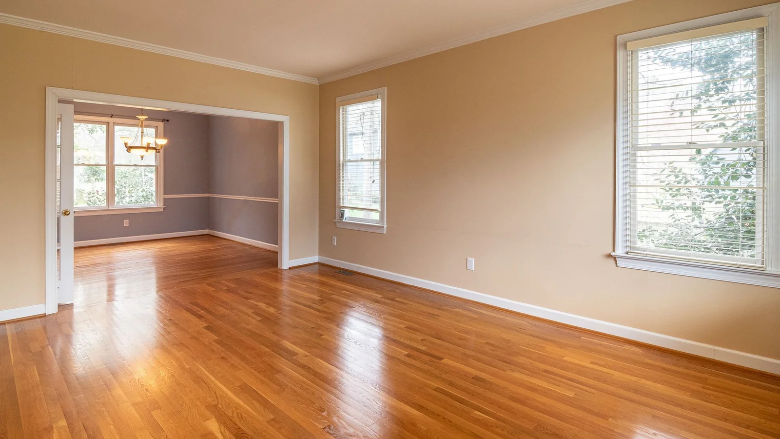 Scratched Hardwood Floors in a Rental: Your Fix Options