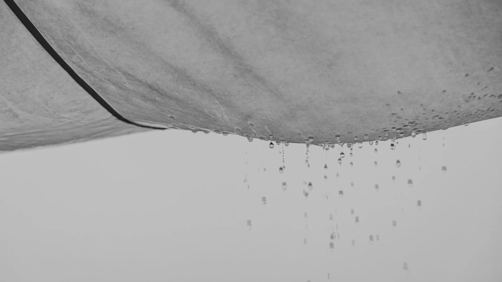 How to Deal With a Leaking Ceiling in a Rental (Right Now)