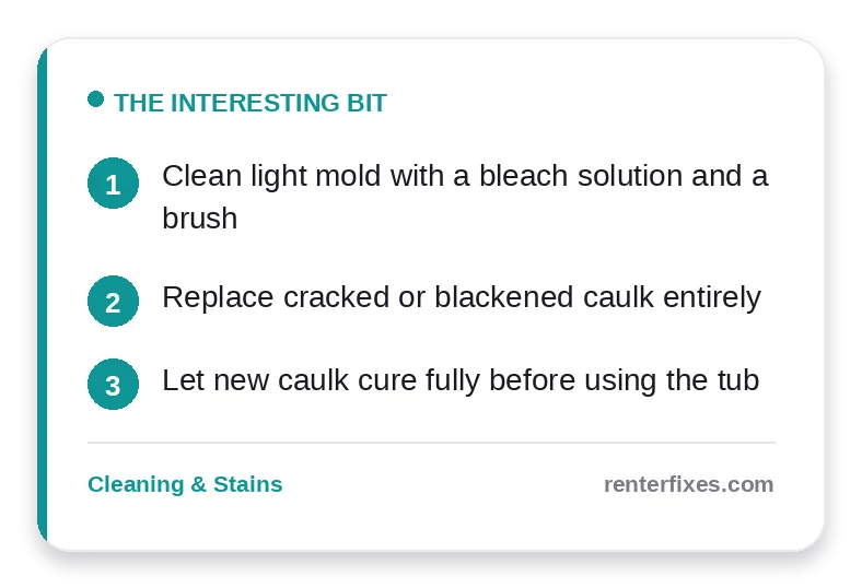 Bathtub Caulk Mold: How to Clean It or Replace It Yourself — key takeaways