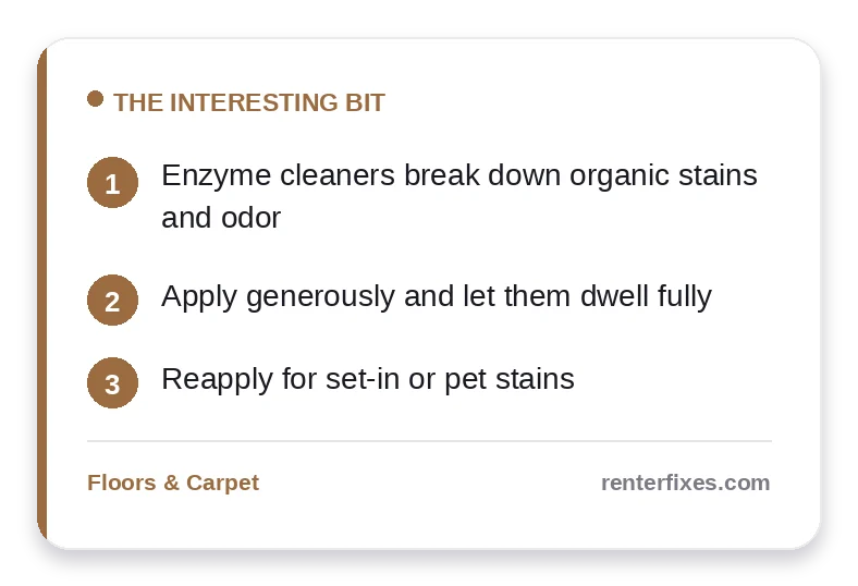 The Best Enzyme Cleaners for Carpet Stains Renters Need to Know — key takeaways
