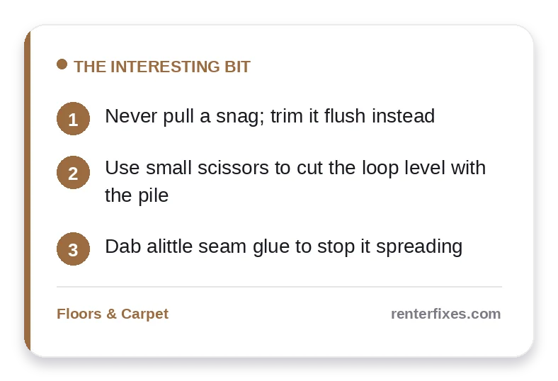 How to Hide or Repair a Carpet Snag in an Apartment — key takeaways