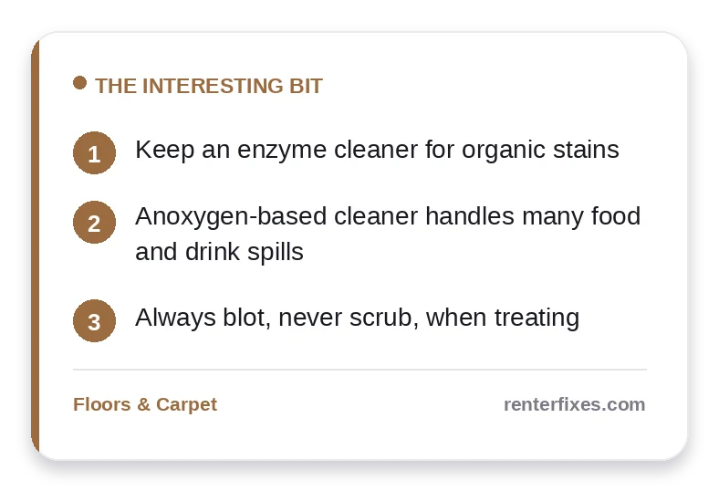 The Best Carpet Stain Removers for Renters (Amazon Picks) — key takeaways