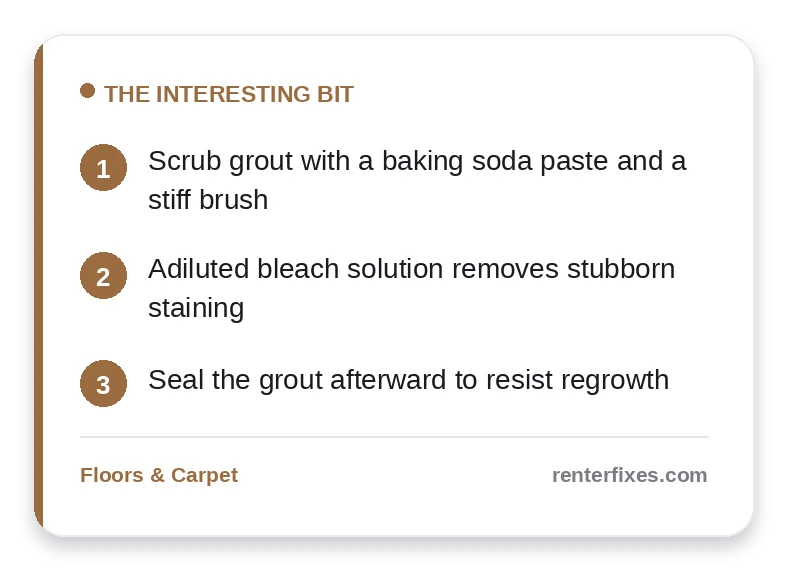 How to Remove Black Mold Stains from Grout Between Floor Tiles — key takeaways