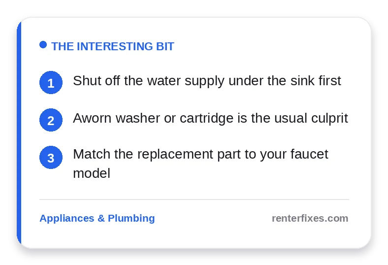Dripping Faucet in Your Rental? How to Fix It Yourself — key takeaways