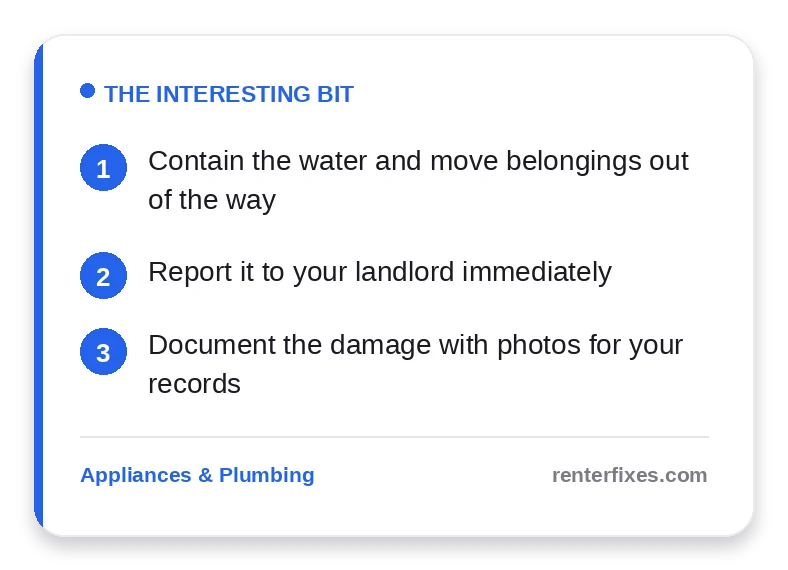 How to Deal With a Leaking Ceiling in a Rental (Right Now) — key takeaways
