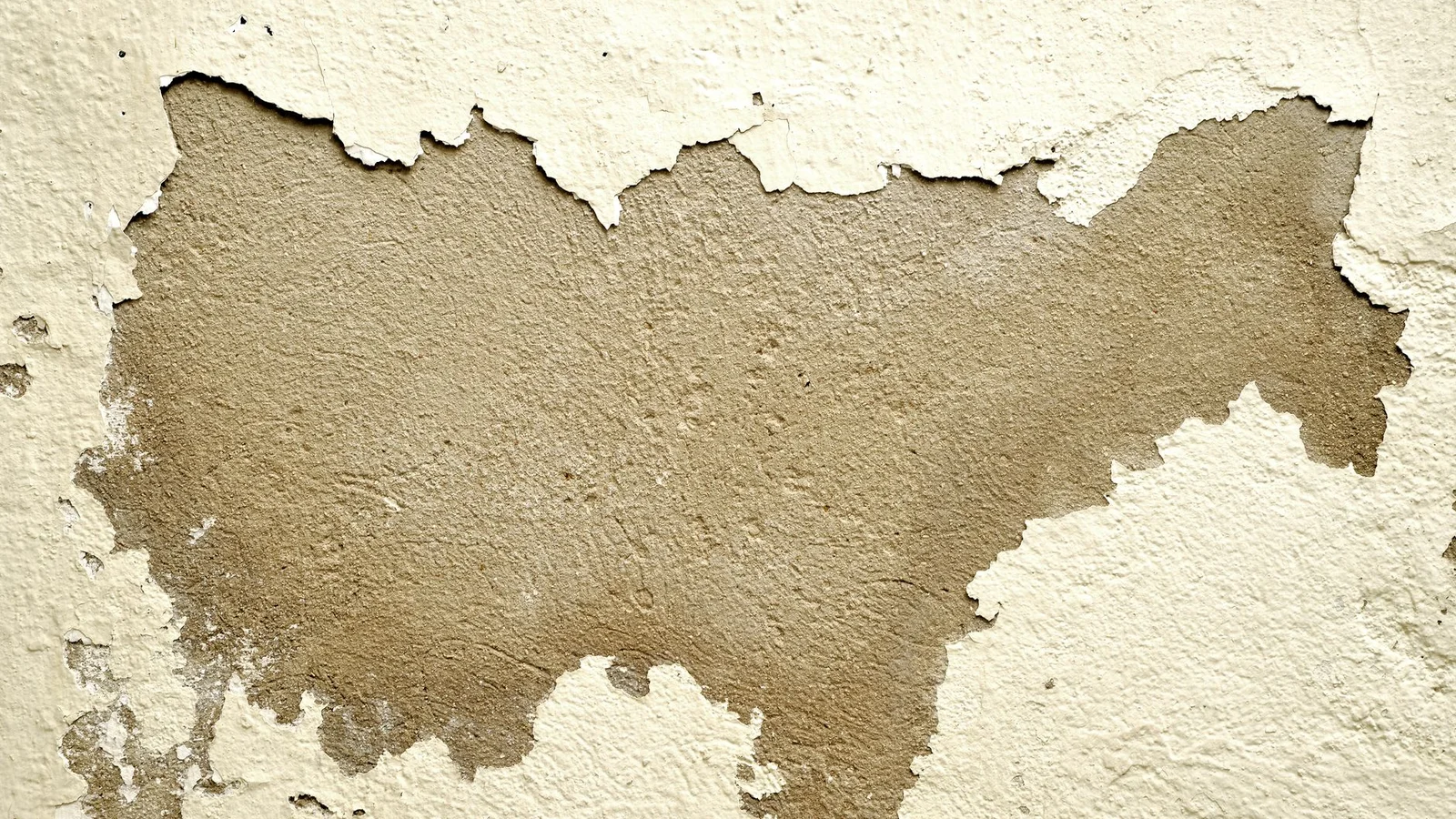 How to Patch Nail Holes So Your Landlord Never Sees Them